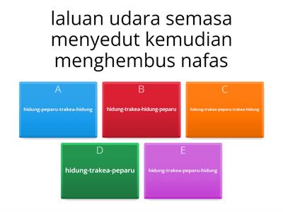 Kuiz Sistem Pernafasan