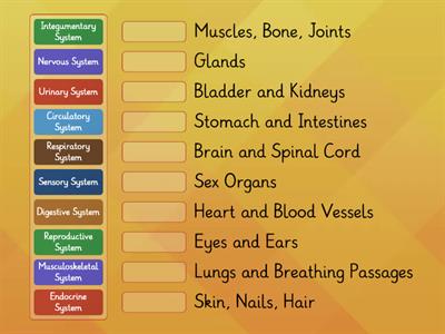 Unit 2 Body Systems