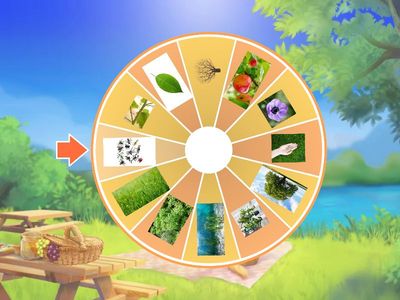 Power Up 3. CLIL, 4 unit