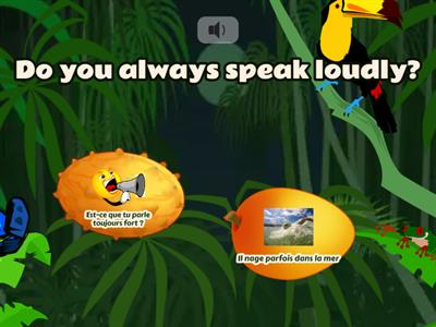 Frequency Adverbs Flying Fruit  