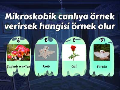 5. Sınıf Fen Bilimleri 2.ÜNİTE