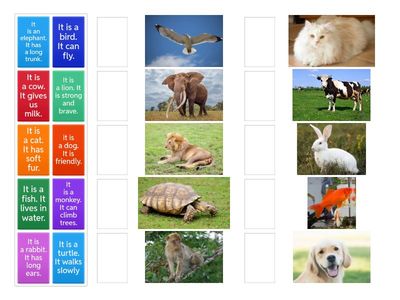 "Descriptive text-Animals"