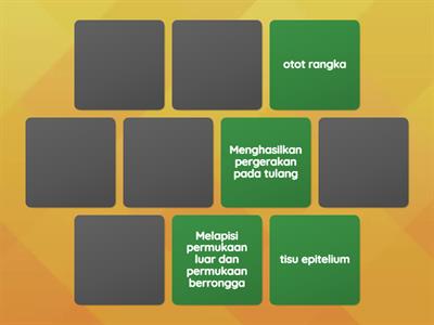 2.3 Proses Hidup Organisma Multisel Part II