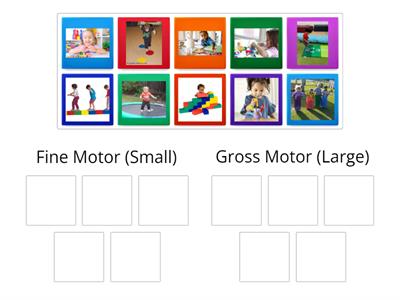 Toddler Fine/Gross Motor Matching