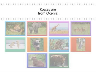 Where are these animals from'