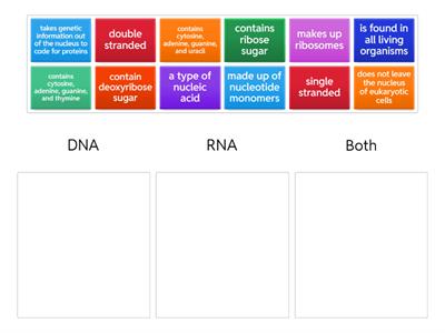 DNA vs. RNA