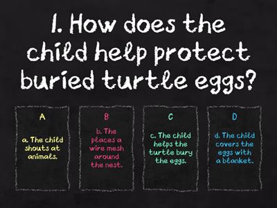 Reading Comprehension Review - Turtle, Turtle, Watch Out!