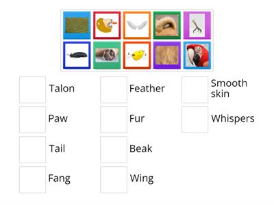 Match the parts of the body. Animal version