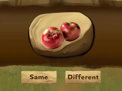 Same or Different?