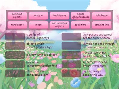 Light And Vision Grade 6 Science