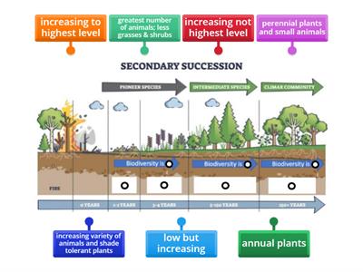 TMS Secondary Succession