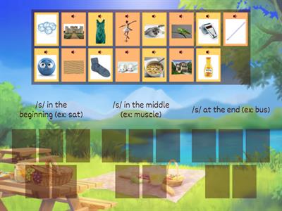 /s/ Initial, Medial, Final