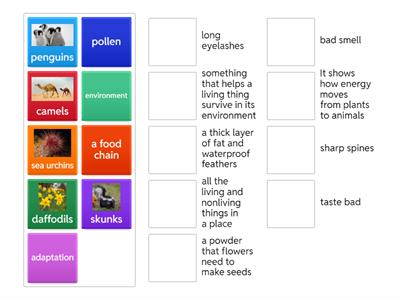 G2U5 environments for living things 