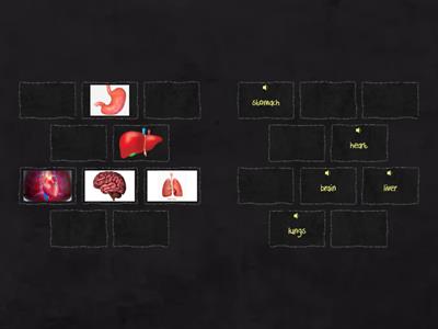 FReeLy AC Unit 2 Organs Pairing Game