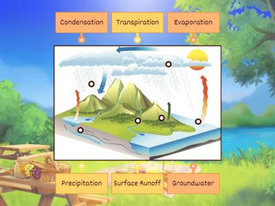 Water Cycle
