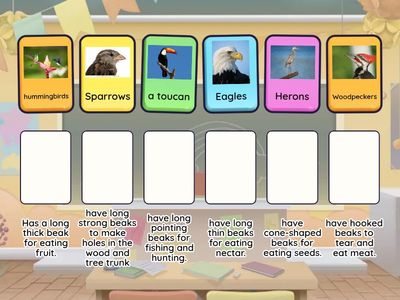 Types of beaks of birds