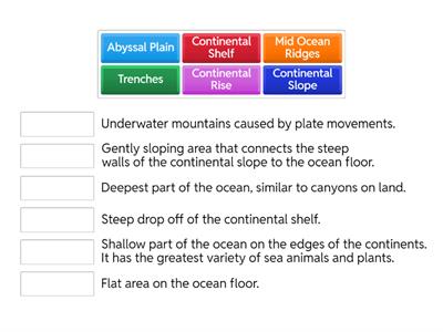 Ocean Floor Vocabulary