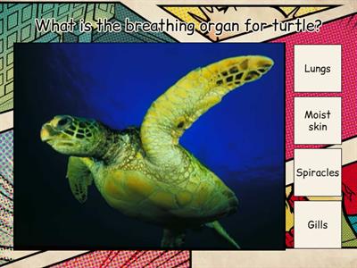 SCIENCE (KSSR) ANIMALS