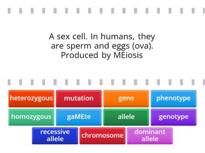 Genetic inheritance terminology - definition given list - Edexcel iGCSE