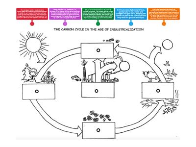 Carbon Cycle Industrial