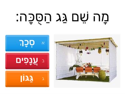 חידון סוכות