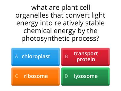 unit 2 : cell structure and function 