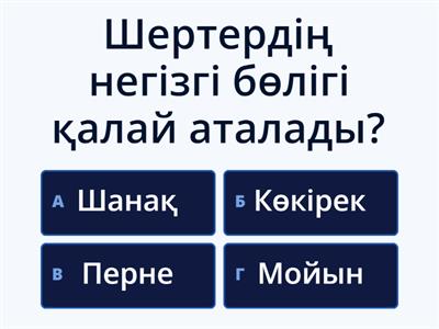 Шертердің құрылымы мен бөлшектері