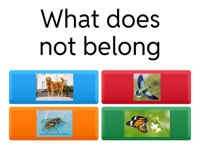 What does not belong