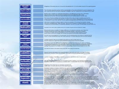 Accounting Terminology 