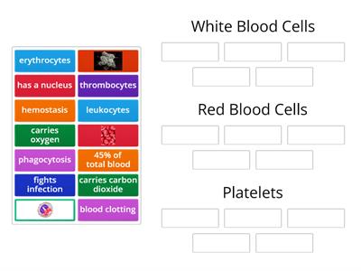 Types of Blood Cells