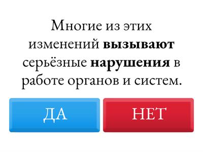 Грамматические основы ОГЭ