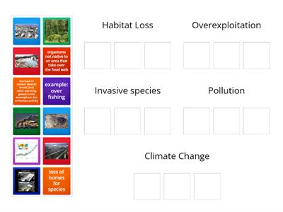 Human Impact on Biodiversity