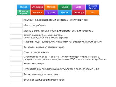 8 класс русский язык