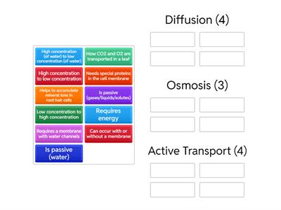 Diffusion, Osmosis, Active Transport