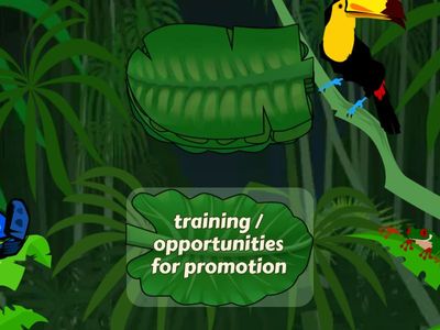 Business Partner B1+