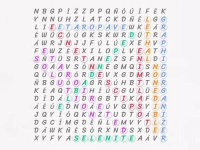 Vocabulary Lesson Unit 5