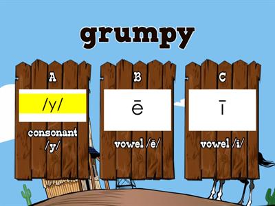 Is y a consonant or vowel?