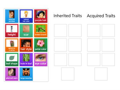 Inherited or Acquired Traits