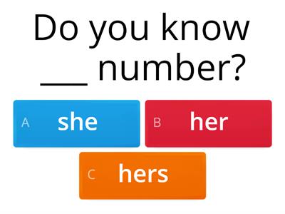 Pronouns 