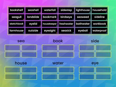 Word Meaning/Vocabulary 18