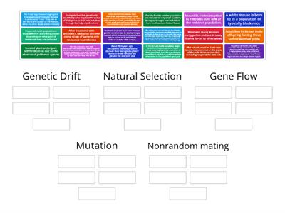 Mechanisms of Evolution