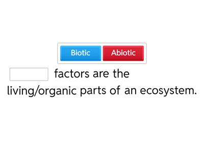 Organization of Environments