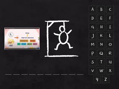 Grade 7 Unit 7 Lesson 1
