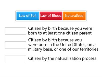 Naturalized vs. Natural Born Citizenship