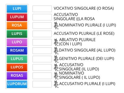 PRIMA E SECONDA DECLINAZIONE