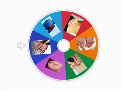 Body parts wheel