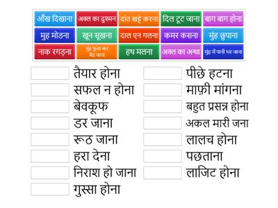 Match the Hindi Idioms / muhavre by SAMWEG JAIN GRADE 6 A