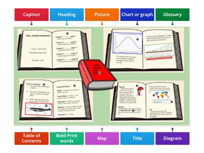 Non fiction  text features