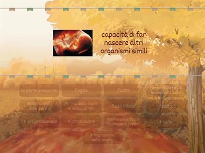 Scienze Vita e Piante