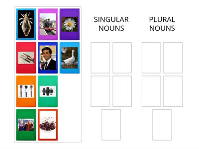 Singular and Plural Nouns